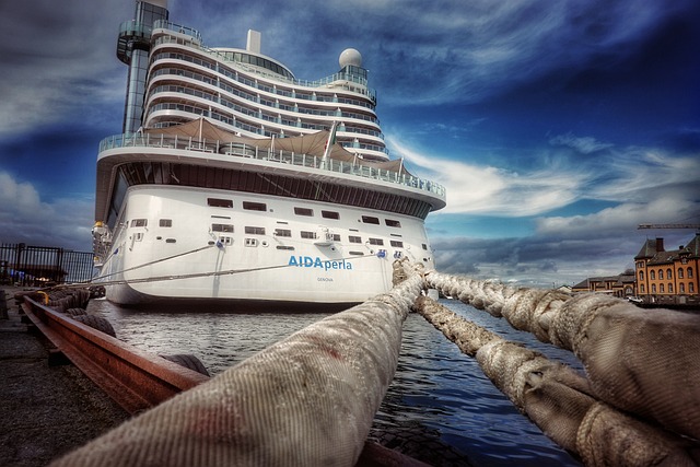 Wie viel Treibstoff verbraucht ein Kreuzfahrtschiff pro Tag?